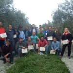 Formación curso poda de olivo